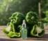 The Beauty Boost of Bell Pepper Extract: Nature’s Colorful Secret